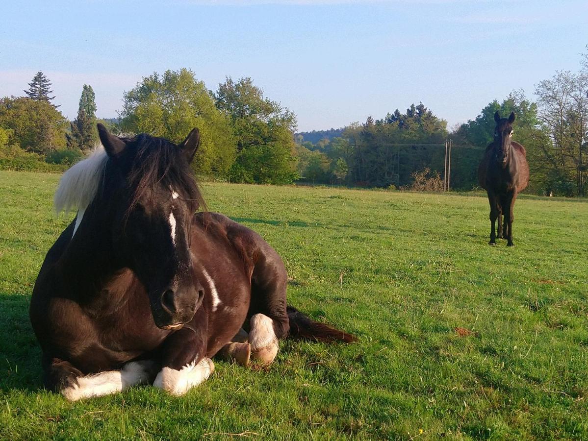 Clan Boucheron Louroux-Bourbonnais Luaran gambar